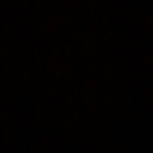 Meet your Posher, Ella